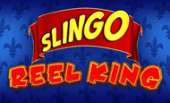 Slingo Reel king